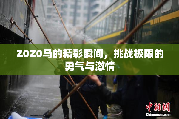 Z0Z0马的精彩瞬间，挑战极限的勇气与激情