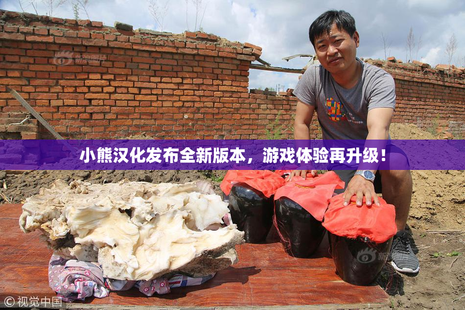 小熊汉化发布全新版本，游戏体验再升级！