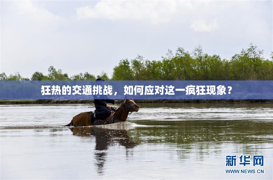 狂热的交通挑战，如何应对这一疯狂现象？
