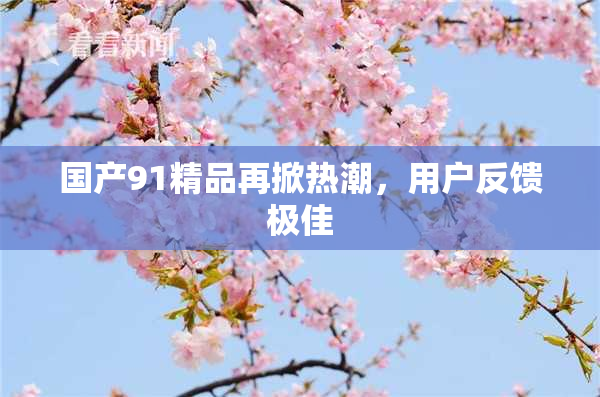 国产91精品再掀热潮，用户反馈极佳