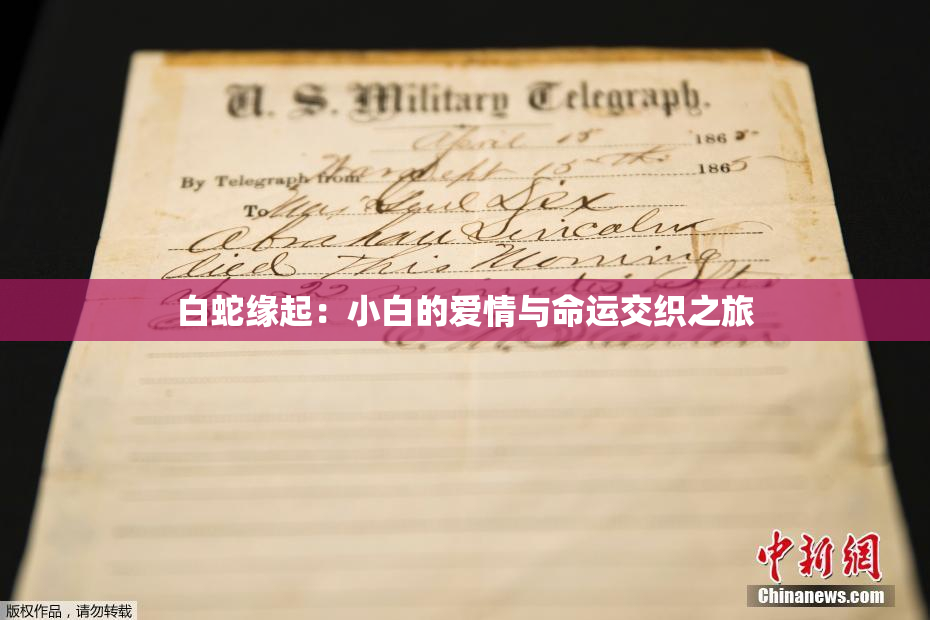 白蛇缘起：小白的爱情与命运交织之旅