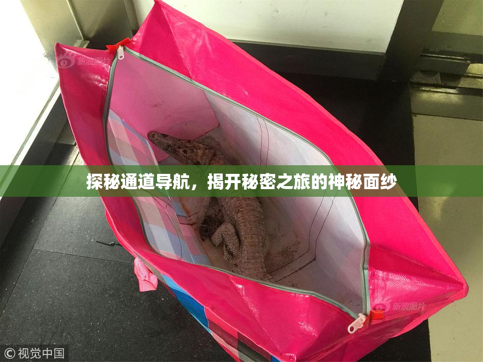 探秘通道导航，揭开秘密之旅的神秘面纱