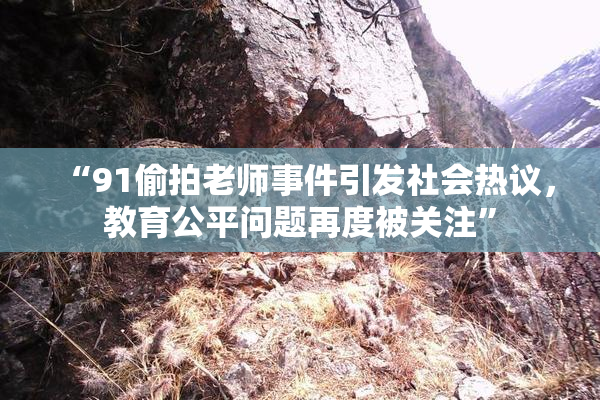 “91偷拍老师事件引发社会热议，教育公平问题再度被关注”