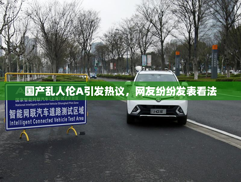 国产乱人伦A引发热议，网友纷纷发表看法