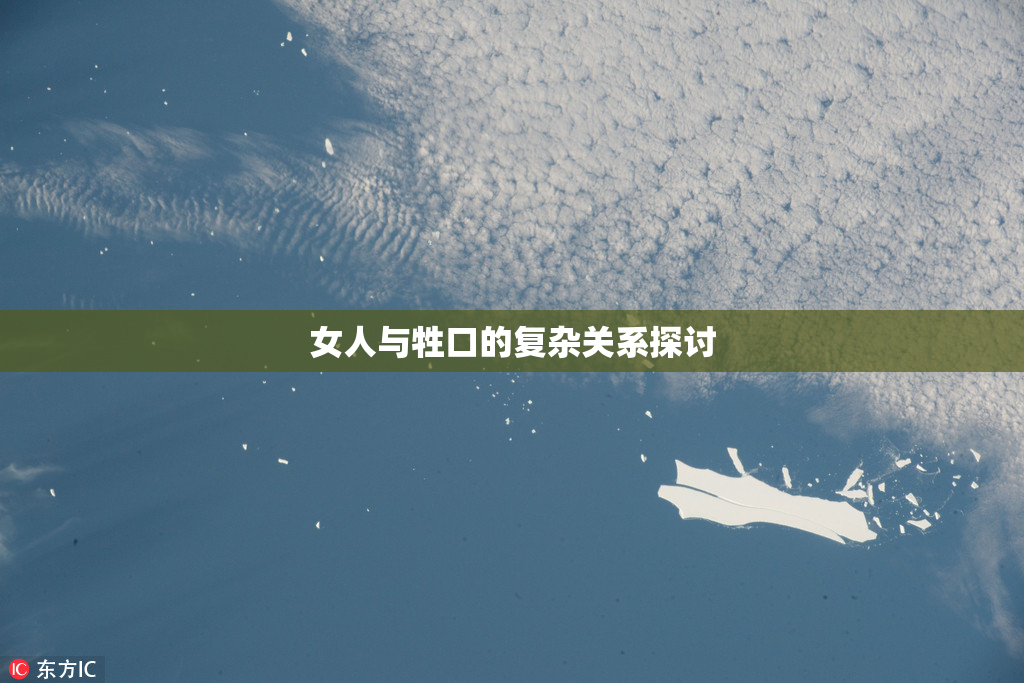 女人与牲口的复杂关系探讨