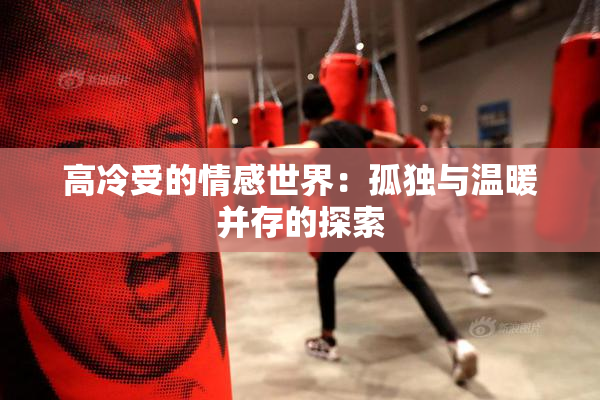 高冷受的情感世界：孤独与温暖并存的探索