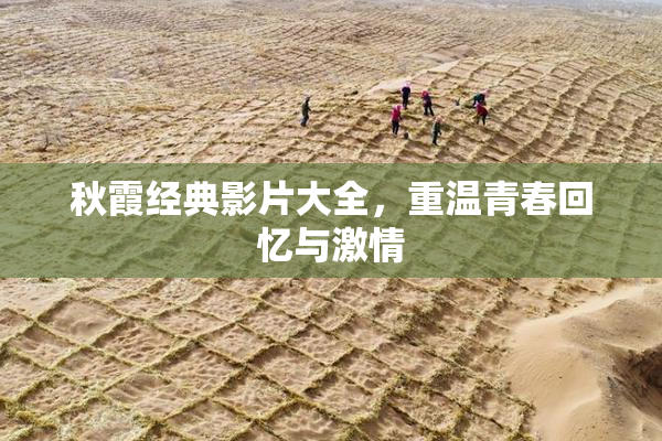 秋霞经典影片大全，重温青春回忆与激情