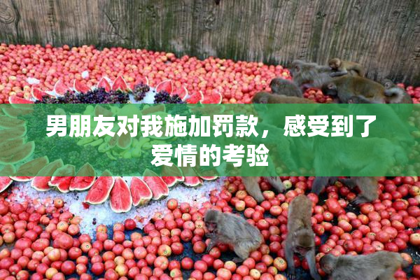 男朋友对我施加罚款，感受到了爱情的考验