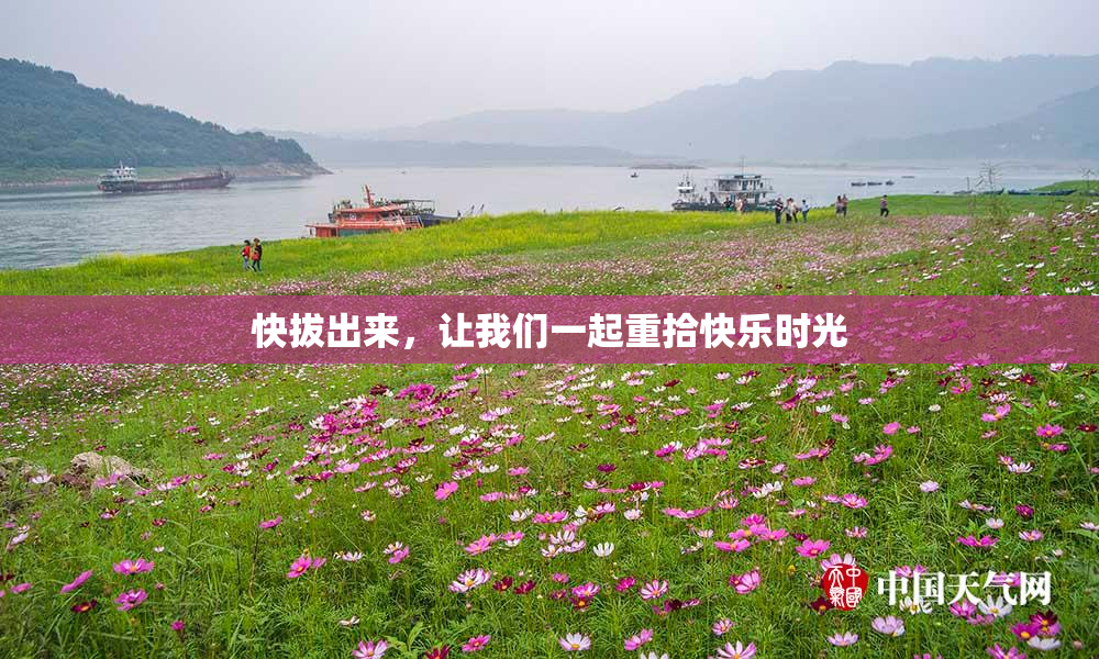 快拔出来，让我们一起重拾快乐时光
