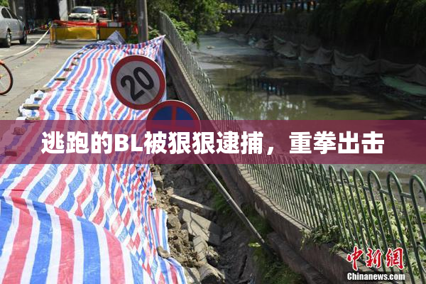 逃跑的BL被狠狠逮捕，重拳出击