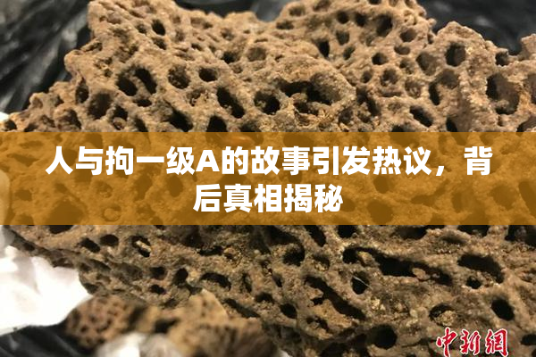 人与拘一级A的故事引发热议，背后真相揭秘
