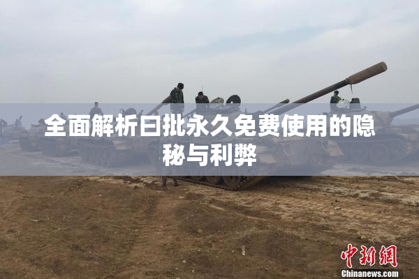 全面解析曰批永久免费使用的隐秘与利弊