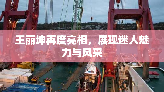 王丽坤再度亮相，展现迷人魅力与风采
