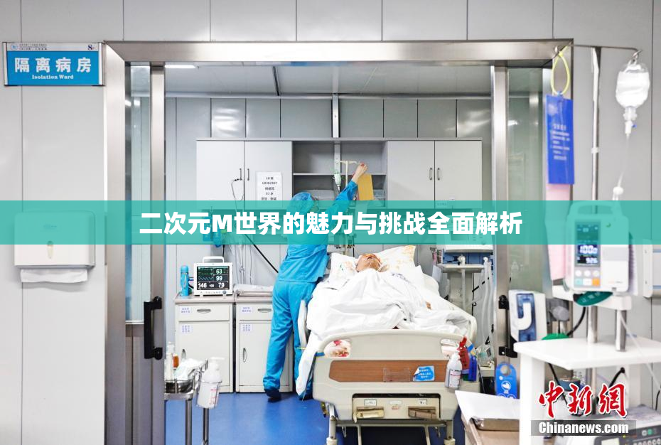 二次元M世界的魅力与挑战全面解析