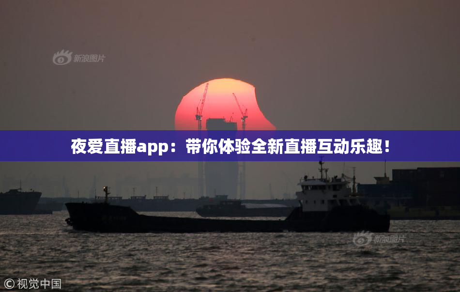 夜爱直播app：带你体验全新直播互动乐趣！