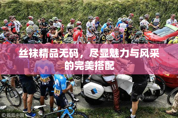 丝袜精品无码，尽显魅力与风采的完美搭配