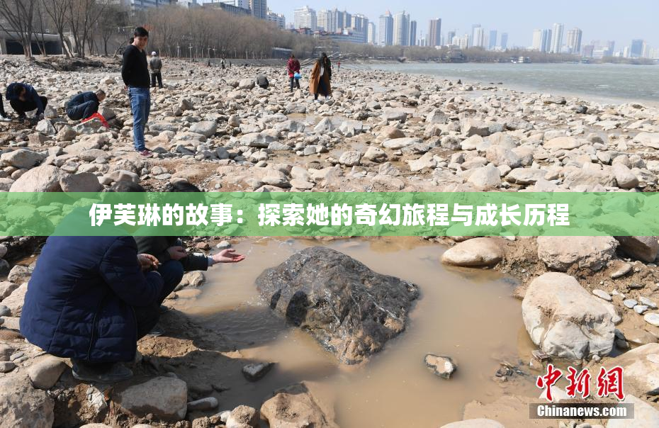 伊芙琳的故事：探索她的奇幻旅程与成长历程