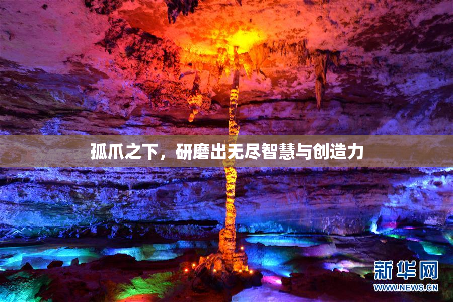 孤爪之下，研磨出无尽智慧与创造力