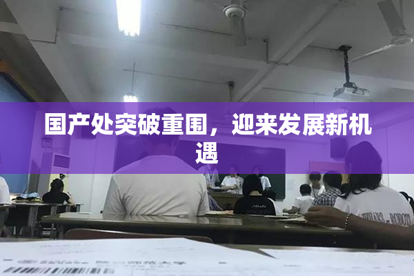 国产处突破重围，迎来发展新机遇