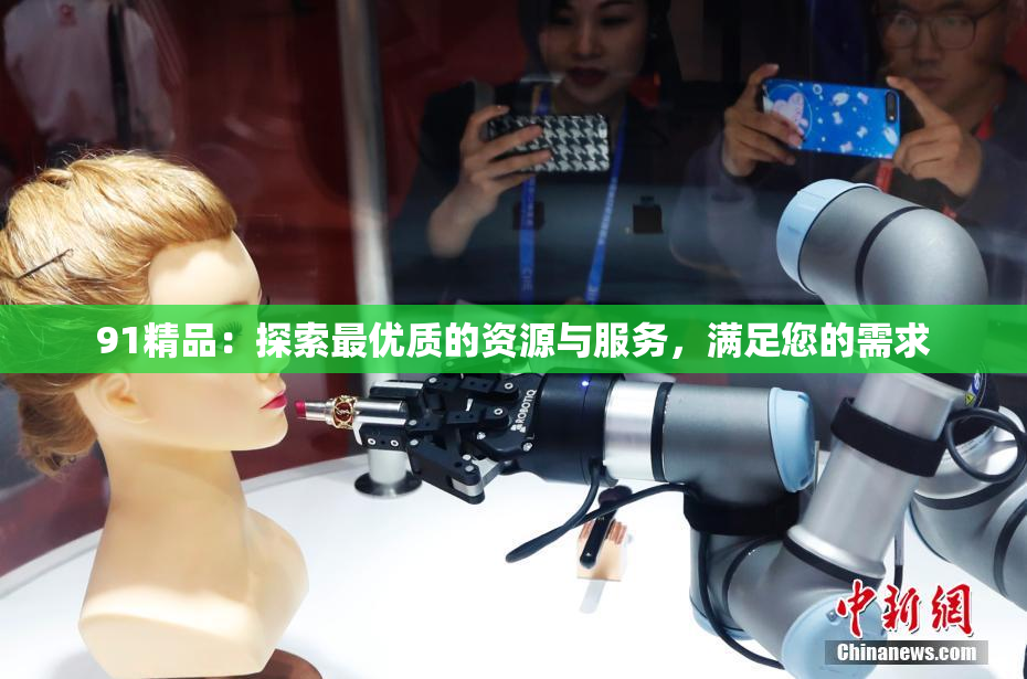 91精品：探索最优质的资源与服务，满足您的需求