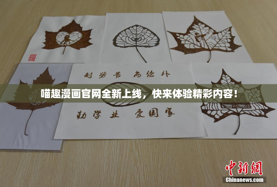 喵趣漫画官网全新上线，快来体验精彩内容！