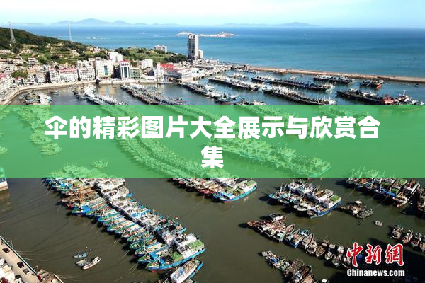 伞的精彩图片大全展示与欣赏合集