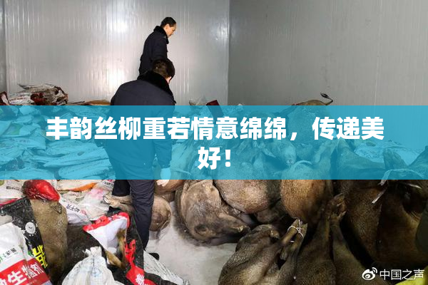 丰韵丝柳重若情意绵绵，传递美好！