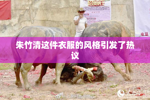 朱竹清这件衣服的风格引发了热议
