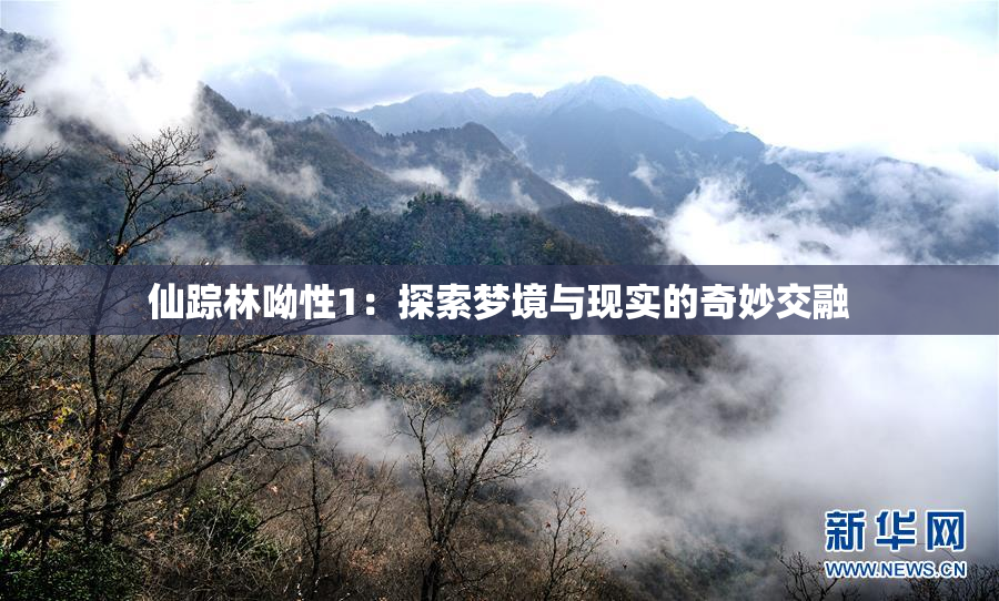 仙踪林呦性1：探索梦境与现实的奇妙交融