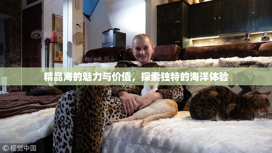精品海的魅力与价值，探索独特的海洋体验