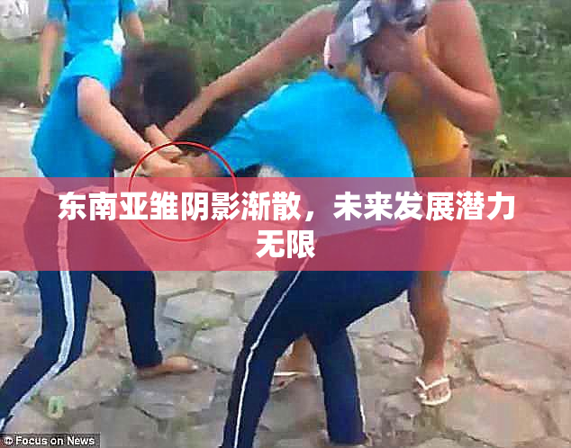 东南亚雏阴影渐散，未来发展潜力无限