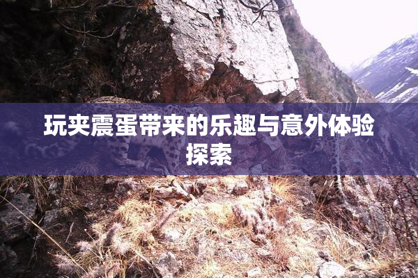 玩夹震蛋带来的乐趣与意外体验探索
