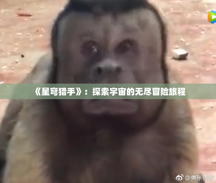 《星穹猎手》：探索宇宙的无尽冒险旅程