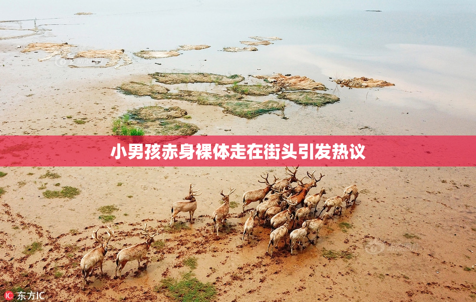 小男孩赤身裸体走在街头引发热议