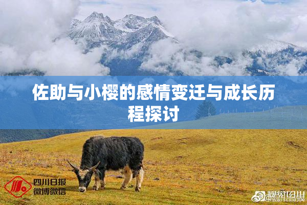 佐助与小樱的感情变迁与成长历程探讨
