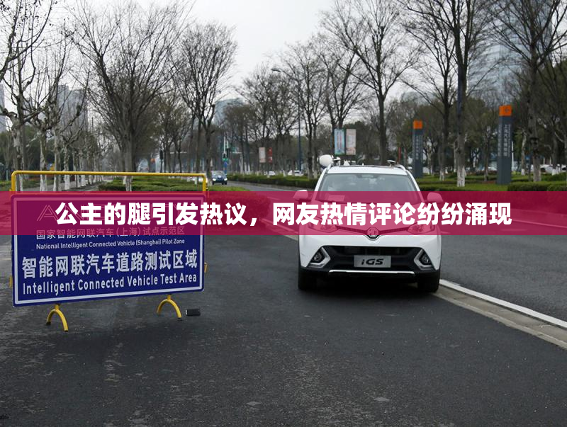 公主的腿引发热议，网友热情评论纷纷涌现