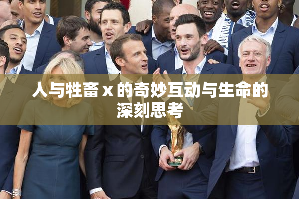 人与牲畜ⅹ的奇妙互动与生命的深刻思考