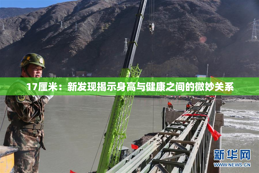 17厘米：新发现揭示身高与健康之间的微妙关系
