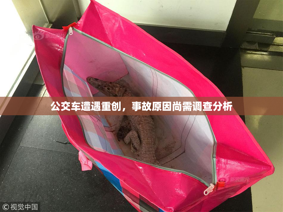 公交车遭遇重创，事故原因尚需调查分析