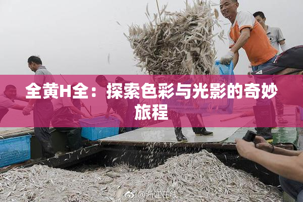 全黄H全：探索色彩与光影的奇妙旅程