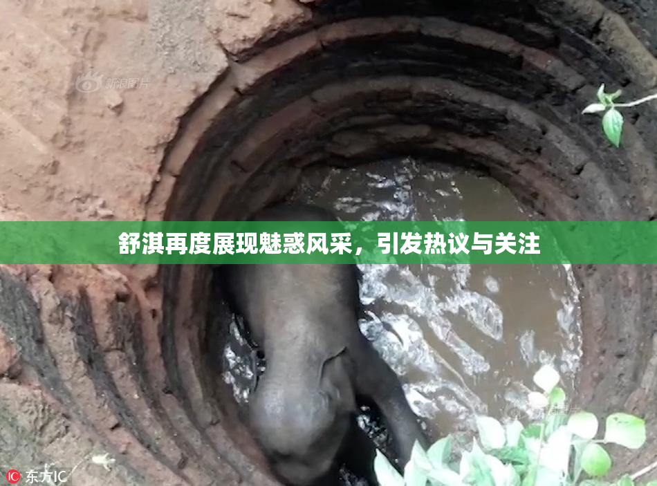 舒淇再度展现魅惑风采，引发热议与关注