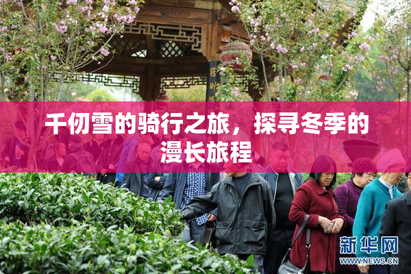 千仞雪的骑行之旅，探寻冬季的漫长旅程