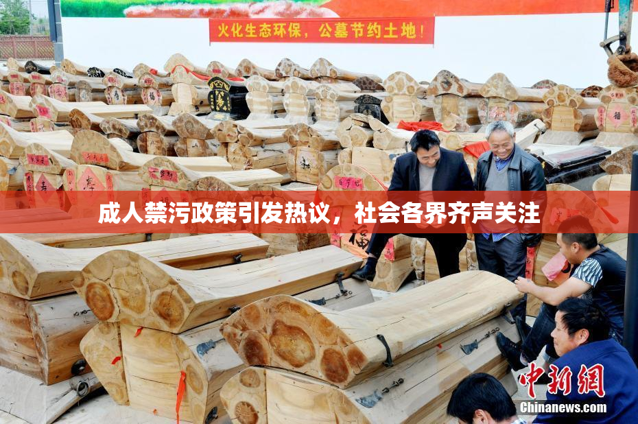 成人禁污政策引发热议，社会各界齐声关注
