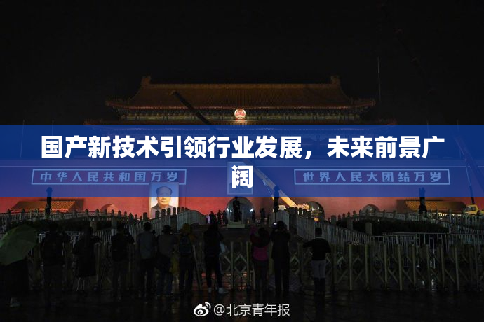 国产新技术引领行业发展，未来前景广阔