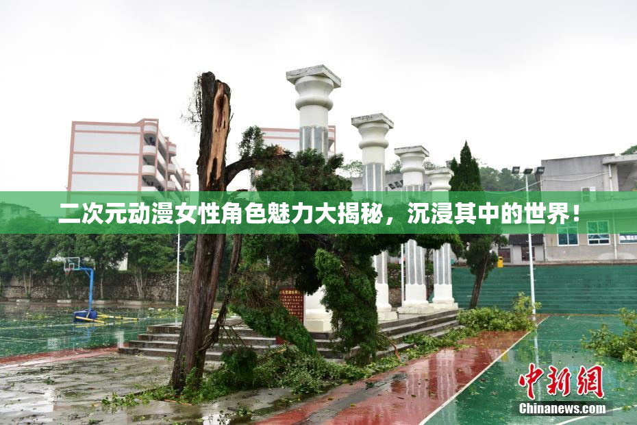 二次元动漫女性角色魅力大揭秘，沉浸其中的世界！