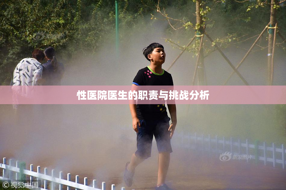 性医院医生的职责与挑战分析