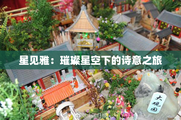 星见雅：璀璨星空下的诗意之旅