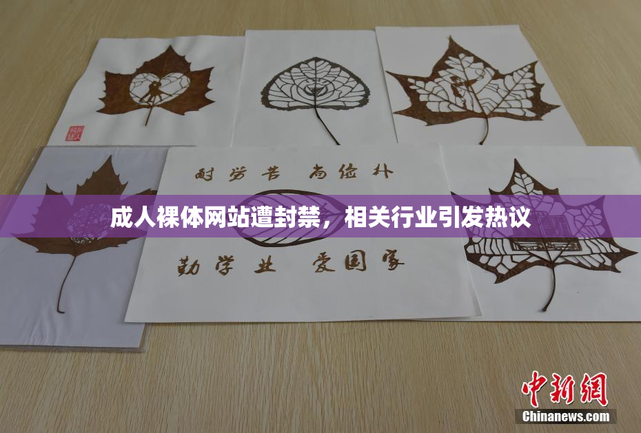 成人裸体网站遭封禁，相关行业引发热议