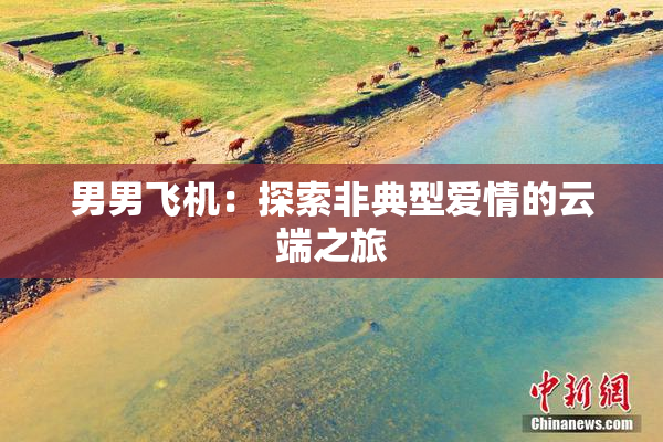 男男飞机：探索非典型爱情的云端之旅