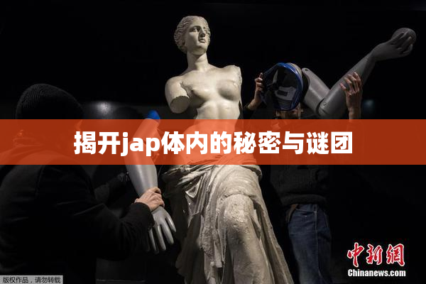 揭开jap体内的秘密与谜团